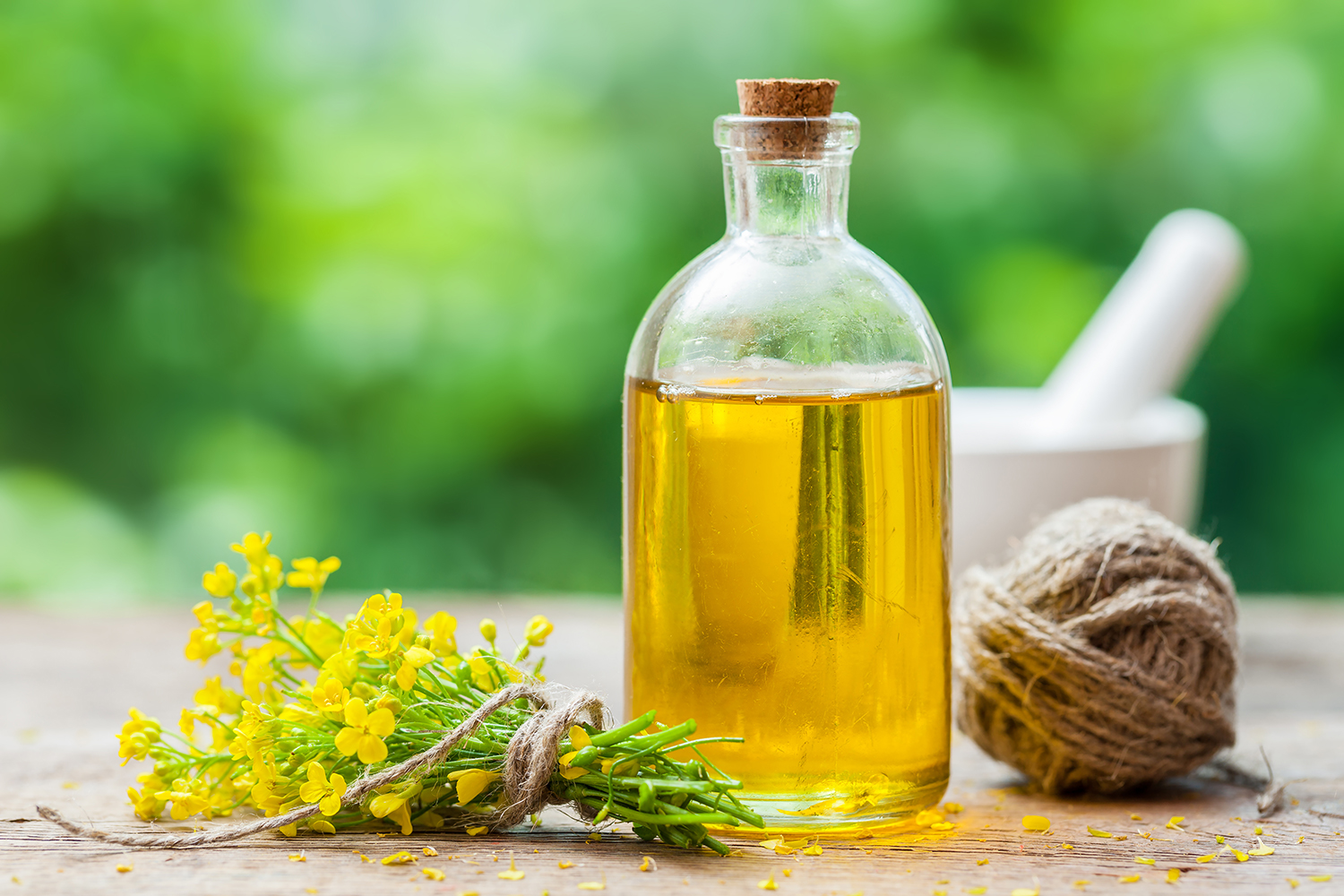 Is Canola Cooking Oil Good For Your Hair